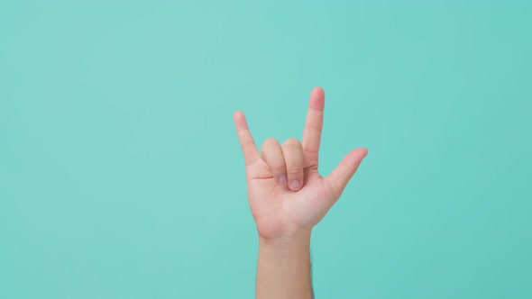 Close up shot of human hand raising, making hand gesture love-you gesture or I love you hands.