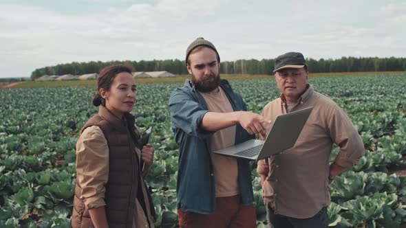 People Working On Farm