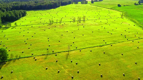 Aerial view of sheaves of hay on green field, view from above  in summer