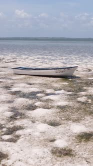 Tanzania  Vertical Video of Low Tide in the Ocean Near the Coast of Zanzibar Slow Motion