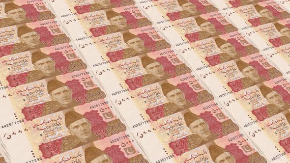 Pakistan  Money / 5000 Pakistani Rupee 4K