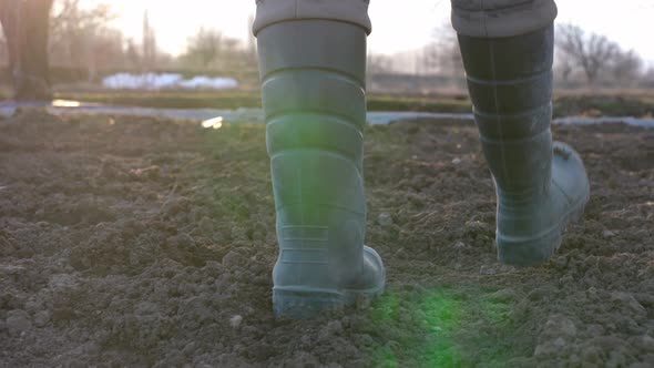 Farmer Walking In Field