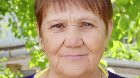 Senior Woman Headshot Portrait with Short Haircut