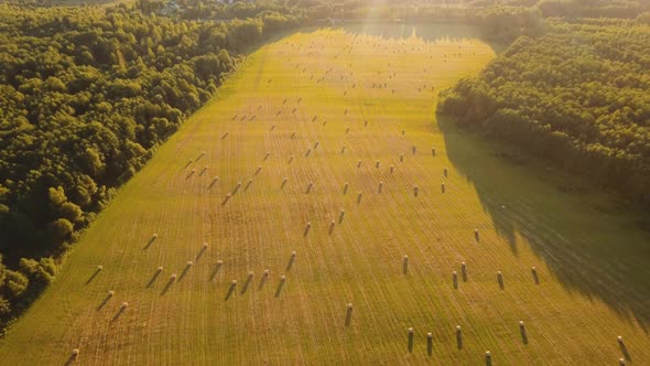 Rolls of Haystacks on the Field