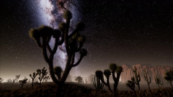 Hyperlapse in Death Valley National Park Desert Moonlit Under Galaxy Stars