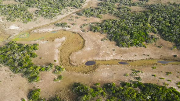 Flying over a dry river, across trees and fields (aerial view)