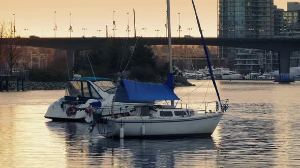 Yachts In City Bay In The Evening