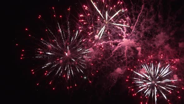 Beautiful Fireworks Display in the Night Sky