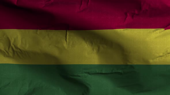 Bolivia Flag Textured Waving Background 4K