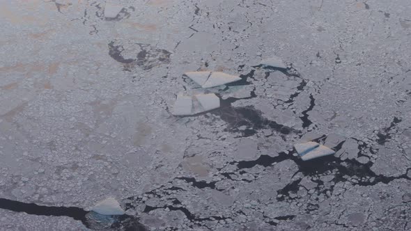 Arctic Ice Field And Glacial Landscape Of Greenland Top Aerial View From Plane