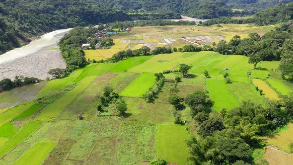 Bright Landscape with Rice Terraces, View From Above