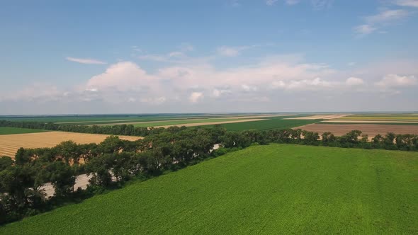 Countryside Landscape