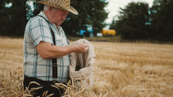 Mature Farmer Man Standing in a Wheat Field During Harvesting, He Controls the Harvesting Process