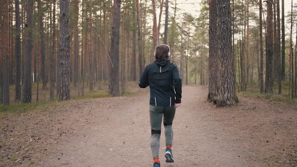 Sporty Man Runs Along Path in Old Pine Forest in Morning