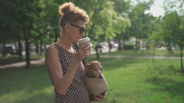 Mature Slender Woman Walking Her Dachshund Dog in a Carrier Bag and Drinking Coffee to Go in the