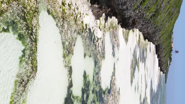 Vertical Video of Low Tide in the Ocean Near the Coast of Zanzibar Tanzania Aerial View