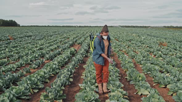 Man Spraying Cabbage