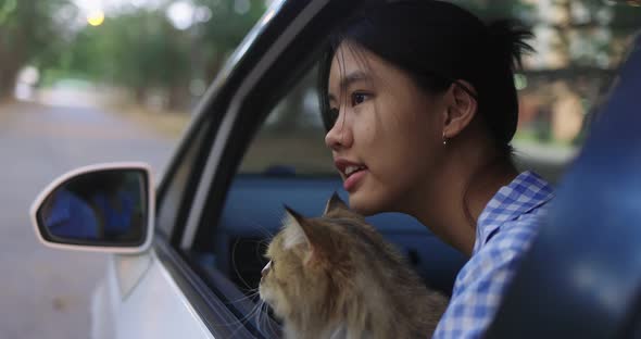 Lovely Asian Girl Holds A Cat On Her Lap In The Passenger Seat Of A Driving Car