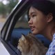 Lovely Asian Girl Holds A Cat On Her Lap In The Passenger Seat Of A Driving Car - VideoHive Item for Sale