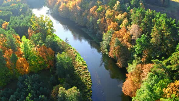 Forest and river at sunrise in autumn, aerial view, Poland