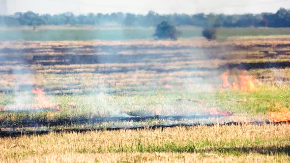 Slowly Burning Grass Field