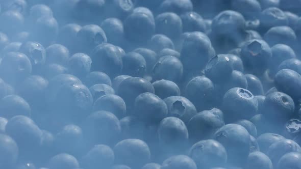 Icy Vapor Over Frozen Blueberries