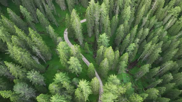 Aerial view of countryside road passing through the green forest