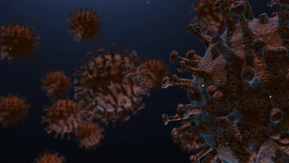 Covid-19 Epidemic Virus  alt