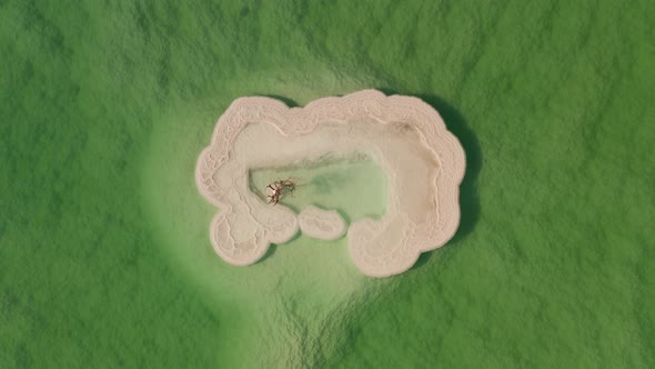 There is a very cute tree built in the sea near the beach.