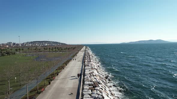 Shoreline Aerial View