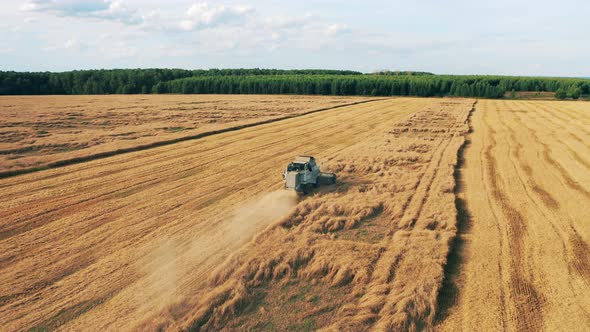 Agricultural Transport Is Reaping Wheat on the Field