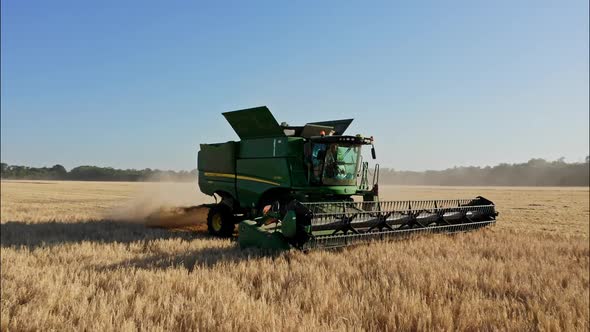 Combine Harvesting Wheat Top View of a Wheatfield