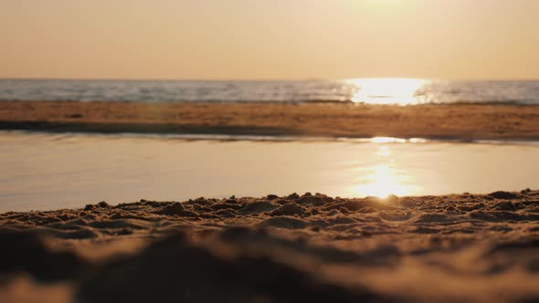 Unconscious Man Throws Plastic Trash on Beach