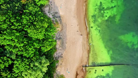 Summer beach by Baltic Sea. Aerial view of nature, Poland