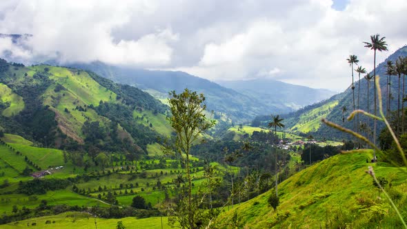 Cocora Valley, Salento, Colombia