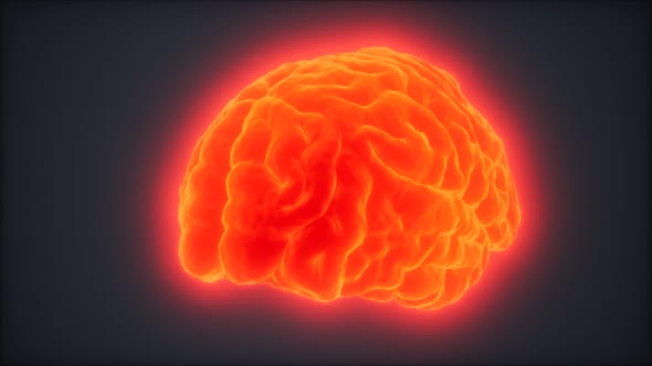 Loop Rotating Human Brain Animation alt