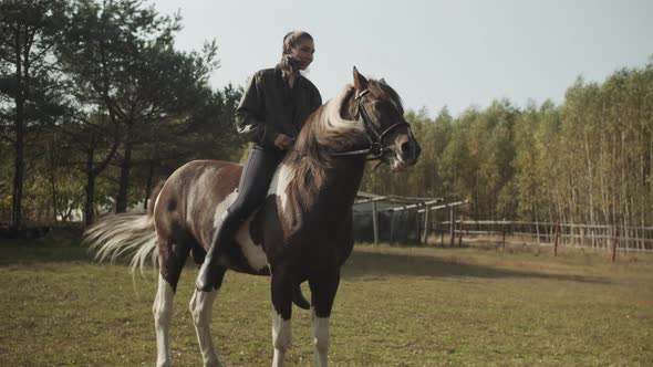 A Young Brave Girl Rider on Horseback Teaches a Horse To Stand on Its Hind Legs in a Country Riding