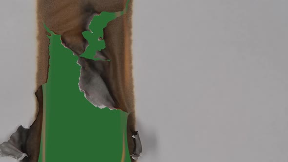 White Paper is on Fire alt