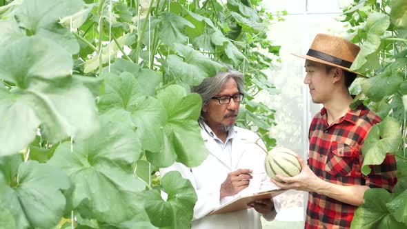 Young Farmer Holding a Melon and Talking with Research Scientist at Melon Greenhouse Farm