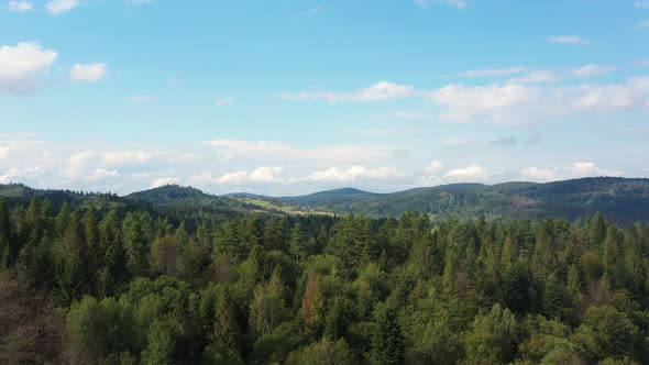 Scenic panoramic landscape in forests and mountains