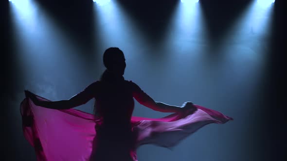 Silhouette a Young Girl Dancer in a Red Sari, Indian Folk Dance, Shot in a Dark Studio with Smoke