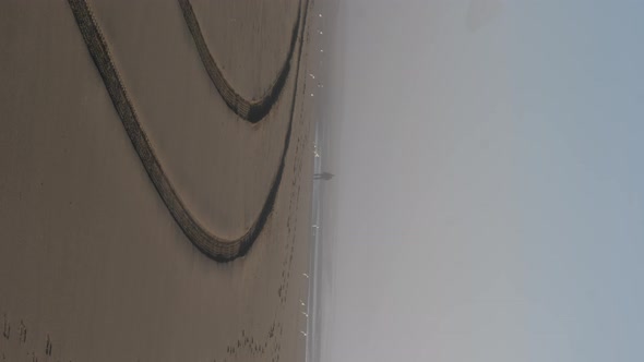 A flock of birds flies past the silhouette of a man in the fog of a sandy beach.