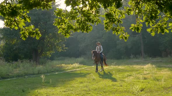 American Cowboy on Horseback on a Forest Lawn