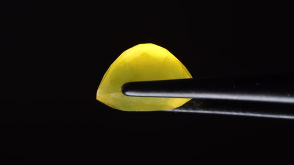 Natural Yellow Fire Opal Gemstone in the Tweezer on the Background