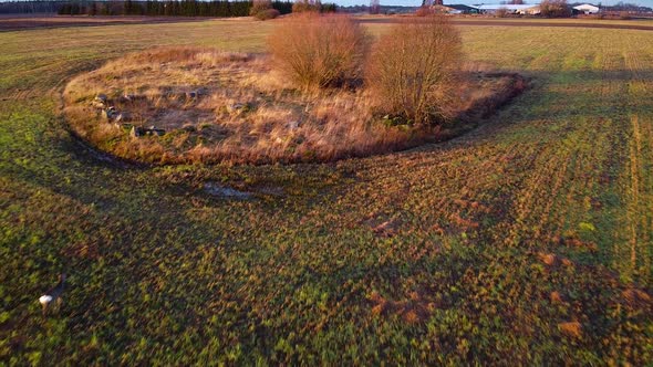 Aerial view at two European roe deer (Capreolus capreolus) eating calm at open field in sunny autumn