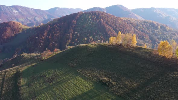 Flying Over Colorful Autumn Countryside Forest in the Mountains