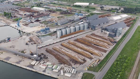 Timber Log Piles next to Sawmill, Massive Deforestation Outcome