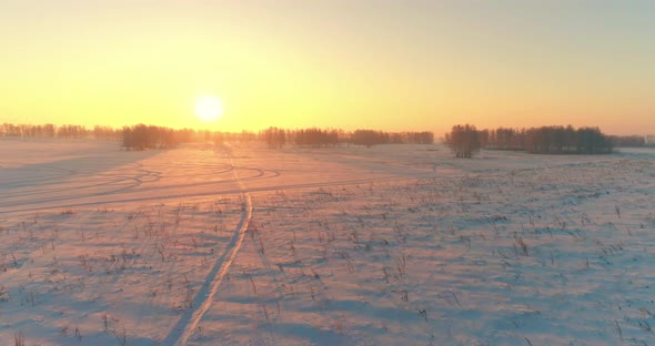 Aerial Drone View of Cold Winter Landscape with Arctic Field Trees Covered with Frost Snow and