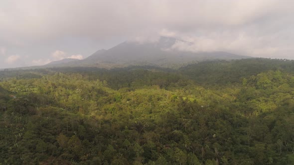 Tropical Landscape Rainforest and Mountains