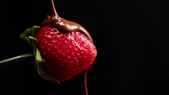 Strawberry in Melted Chocolate Closeup Melting Chocolate Bar for Fondue